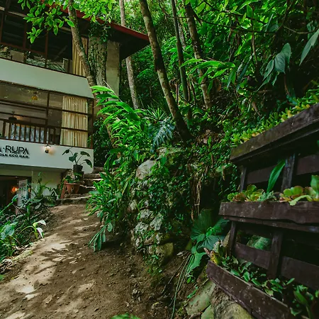 Rupa Rupa High Jungle Eco B&B
