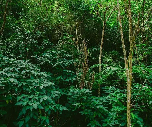 Hotel Rupa Rupa High Jungle Eco Machu Picchu