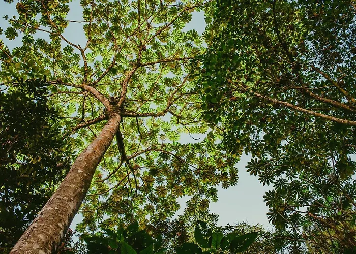 Rupa Rupa High Jungle Eco Hotel 3*