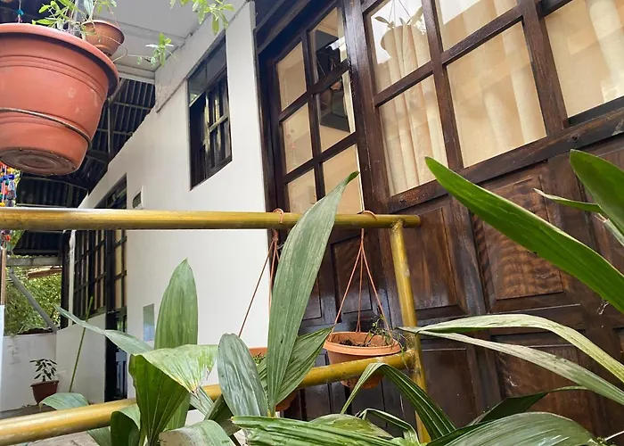 Rupa Rupa High Jungle Eco 3*