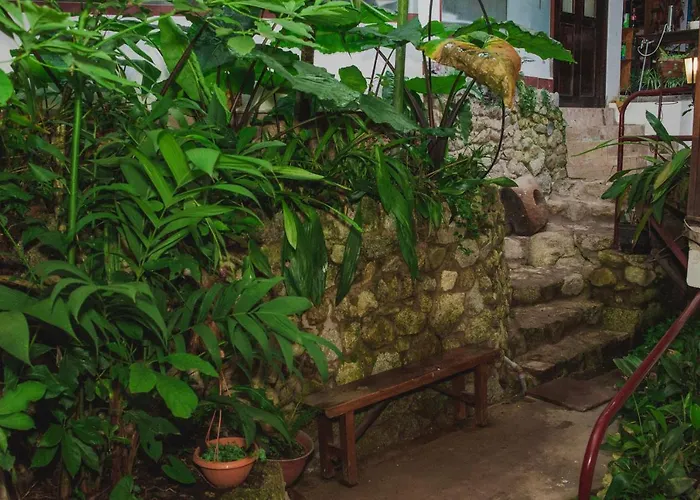Rupa Rupa High Jungle Eco Machu Picchu