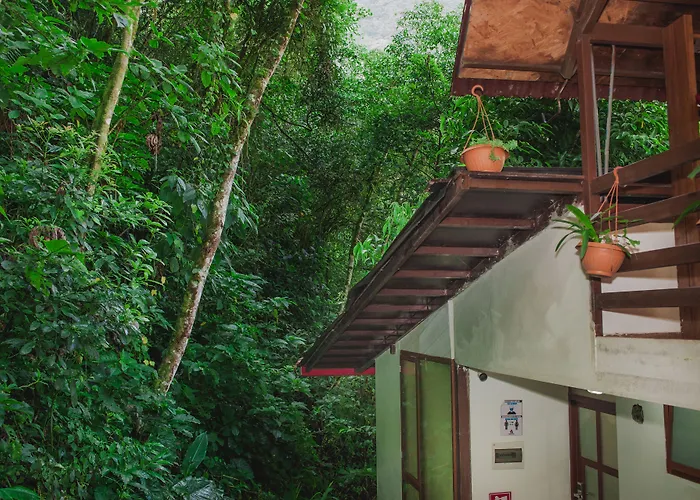Hotel Rupa Rupa High Jungle Eco